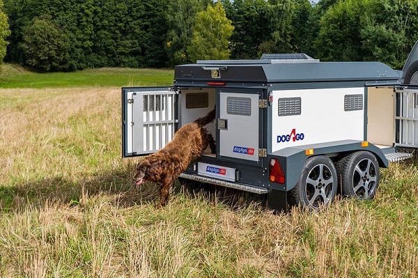 Hunde Sicher im Auto Transportieren – Was du vor jeder Reise wissen solltest